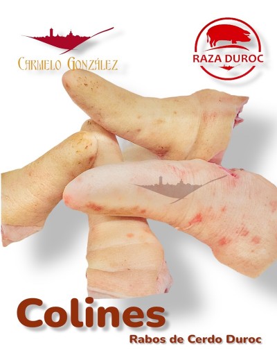 Comprar 15 kilos Rabo o Colín de Cerdo Duroc al por mayor