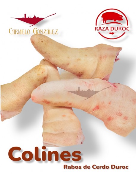 Comprar Rabo o Colín de Cerdo Duroc al por mayor