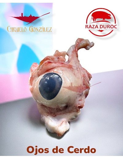 Comprar Ojos de Cerdo para analizar en clase