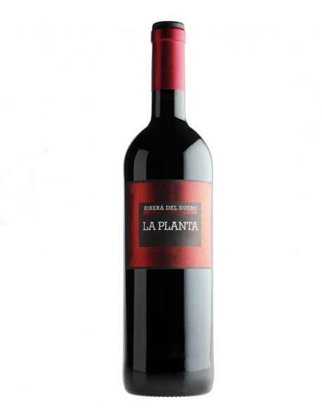 vino la planta 2015 tempranillo