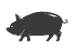 cerdo ibérico